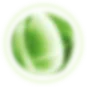 sphere 11 (1)